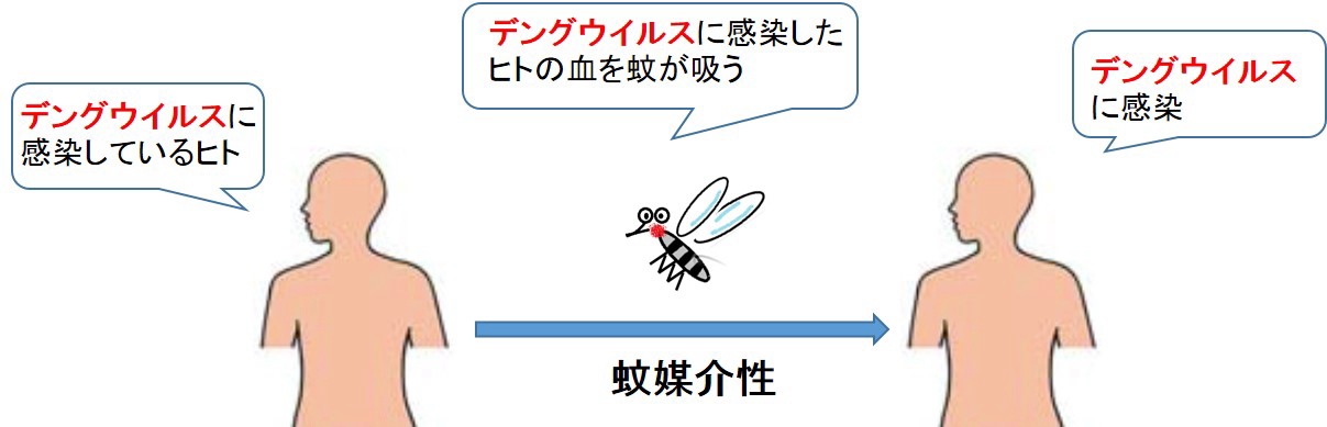 fig1_infection_route