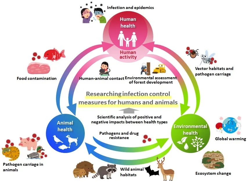 Figure 5   One Health Research on Zoonosis