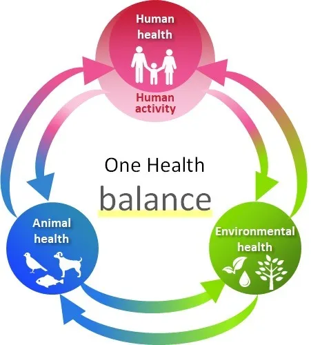 Figure 1   Description of One Health