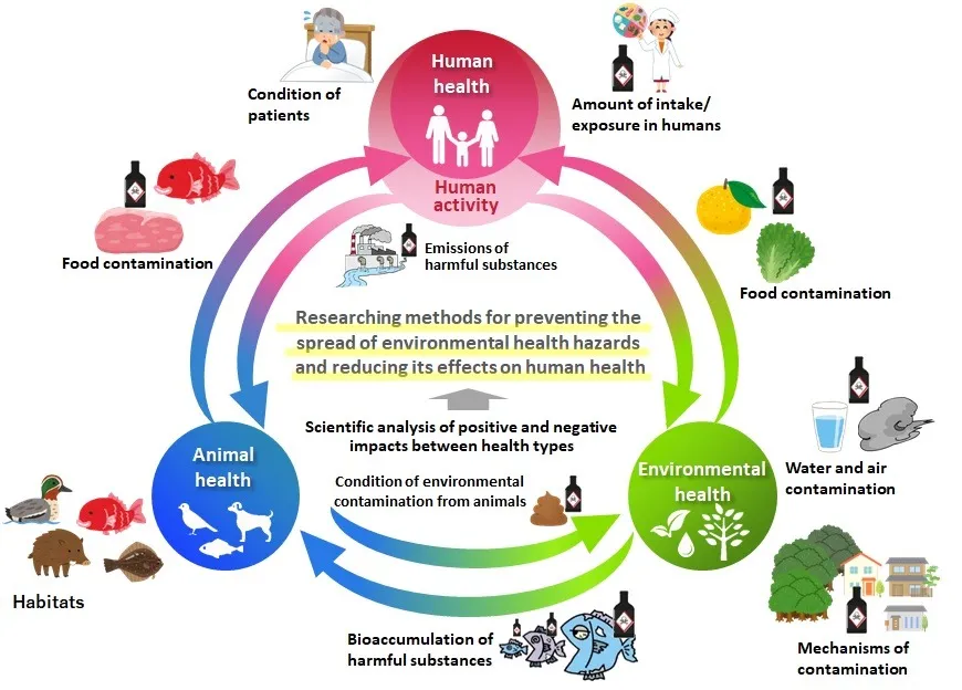 Figure 6   One Health Research on Environmental Health Hazards