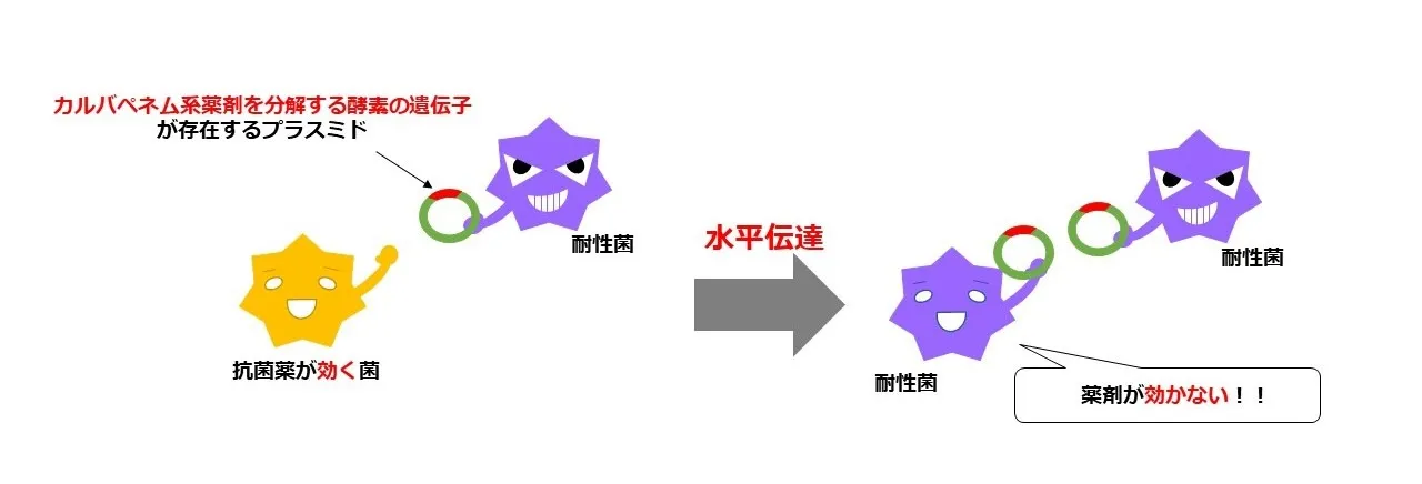 図 水平伝播による薬剤耐性化のイメージ