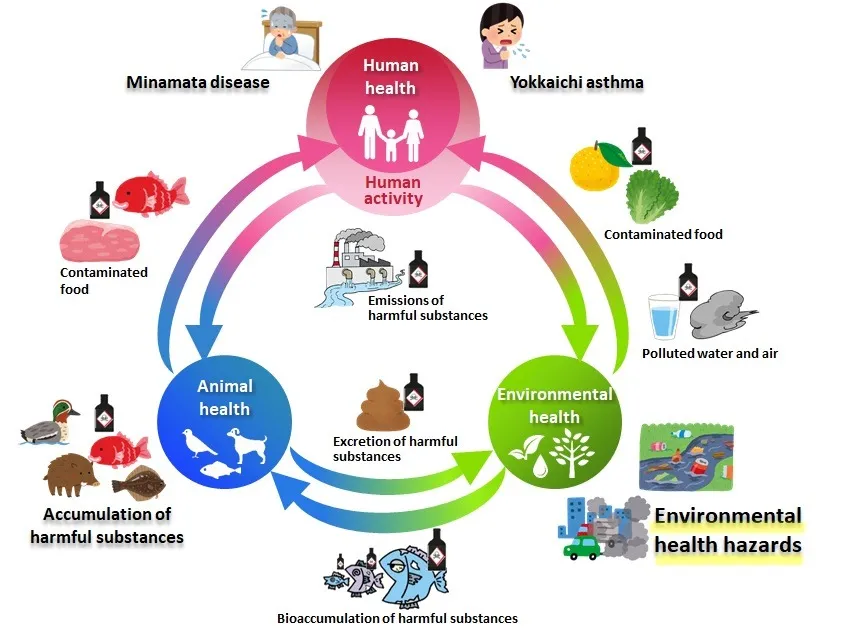 Figure 3   Environmental Health Hazards
