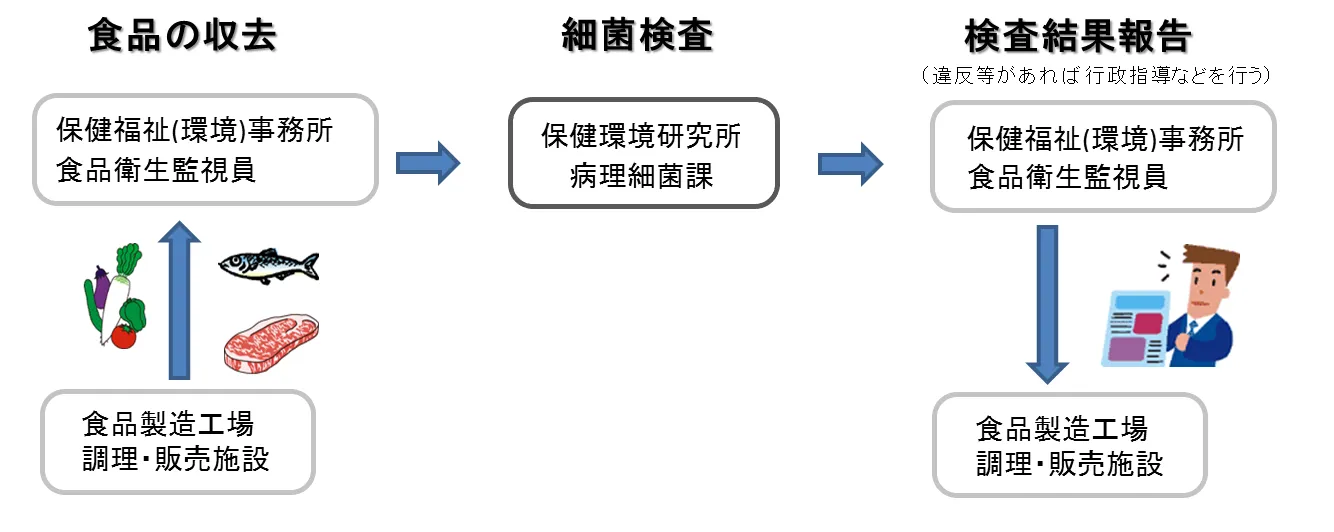 収去検査の流れ