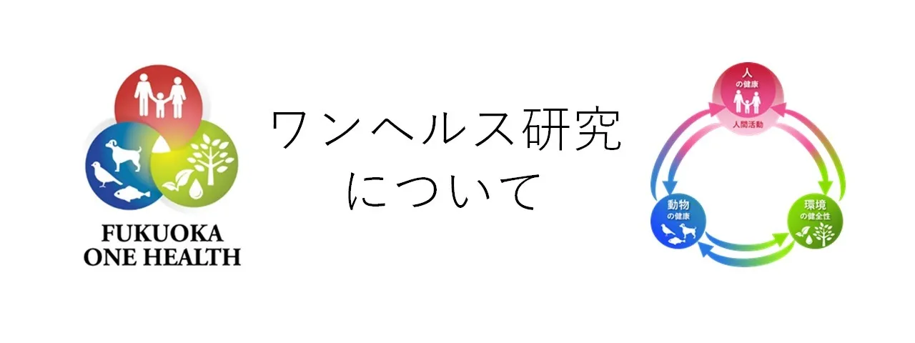ワンヘルス研究ページへの入口