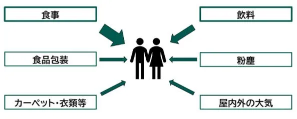図：体内への摂取経路3)