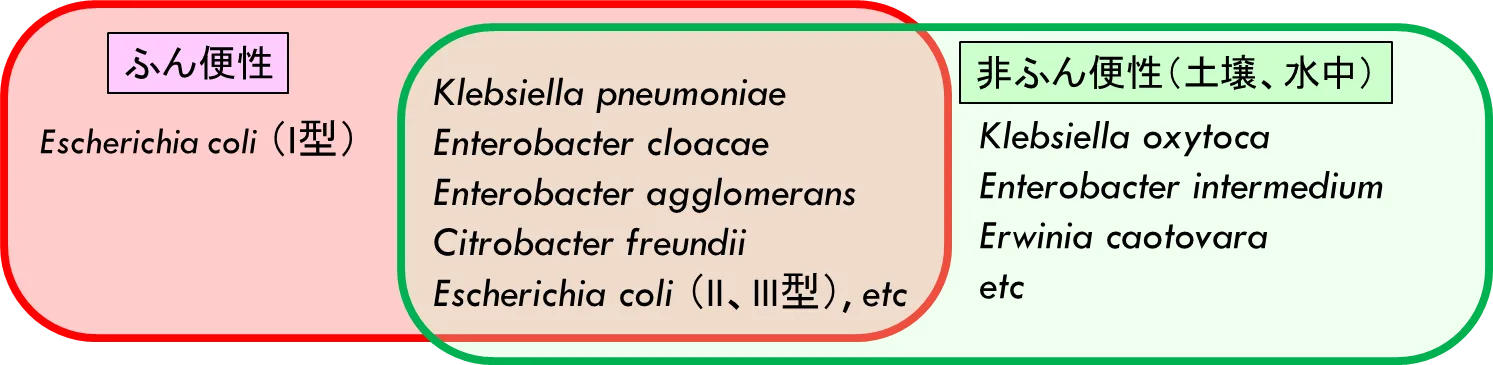 図：大腸菌群とふん便の関係
