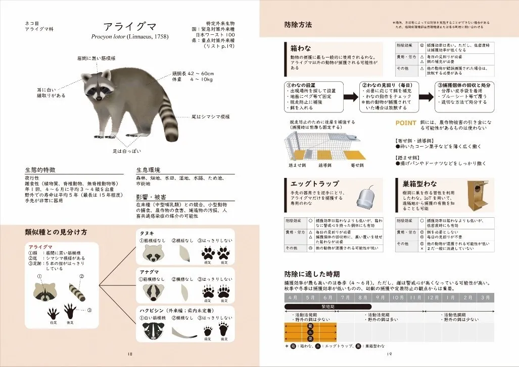 福岡県侵略的外来種防除マニュアル2021のアライグマの解説ページ