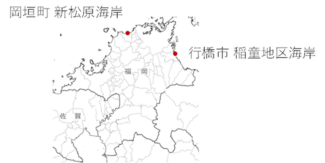 調査地点