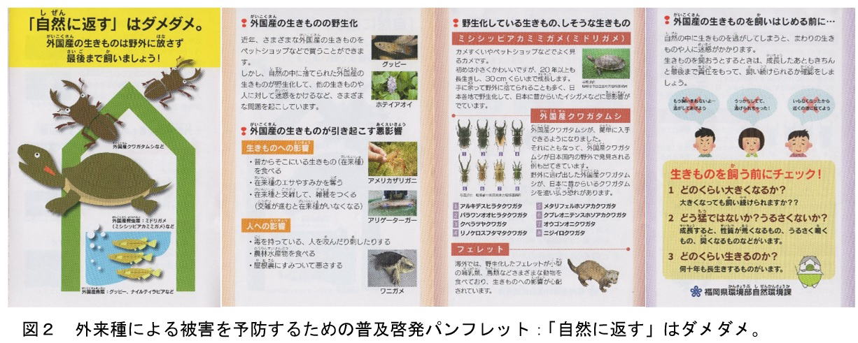 トピックス 外来種問題とその対策 福岡県保健環境研究所