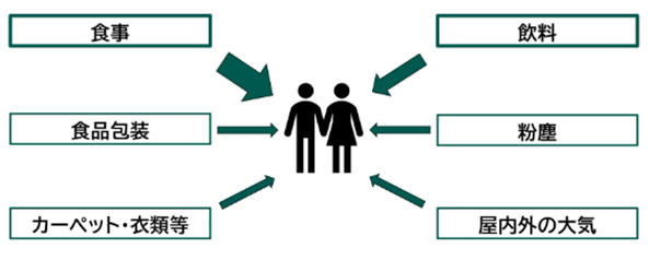 図2 体内への摂取経路